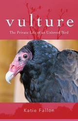 Vulture – The Private Life of an Unloved Bird - Fallon, Katie