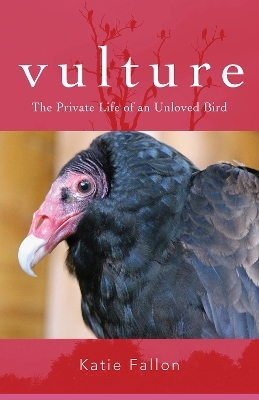 Vulture – The Private Life of an Unloved Bird - Katie Fallon