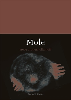 Mole - Steve Gronert Ellerhoff