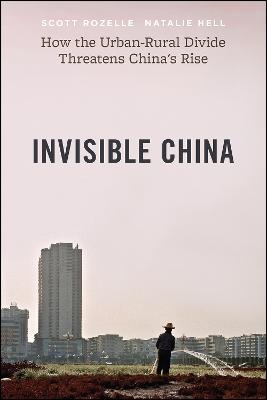 The Invisible China - Scott Rozelle, Natalie Hell