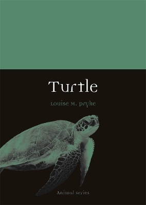 Turtle - Louise M. Pryke