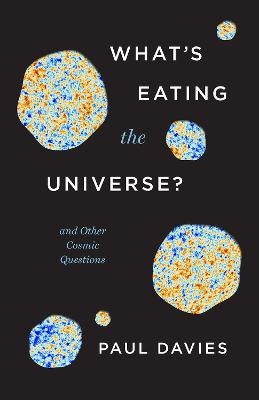 What's Eating the Universe? - Paul Davies