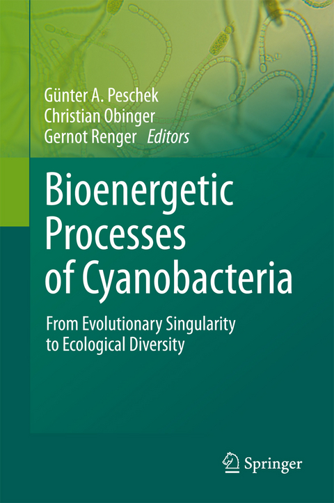 Bioenergetic Processes of Cyanobacteria - 
