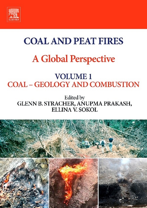 Coal and Peat Fires: A Global Perspective - 