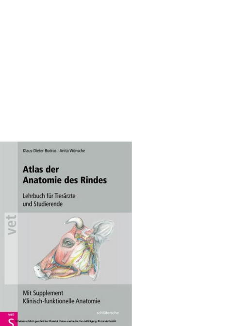 Atlas der Anatomie des Rindes -  Klaus-Dieter Budras,  Anita Wünsche
