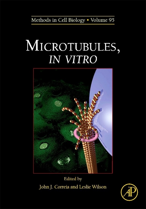 Microtubules, in vitro - 