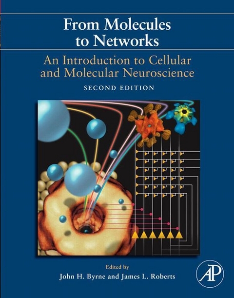 From Molecules to Networks - 