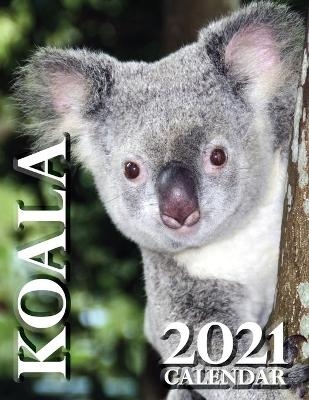 Koala 2021 Calendar -  Wall Publishing