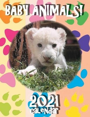 Baby Animals! 2021 Calendar -  Sea Wall