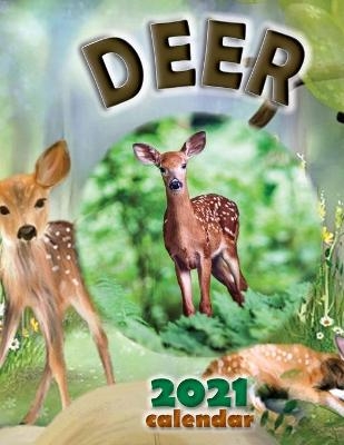 Deer 2021 Calendar -  Wall Craft Calendars