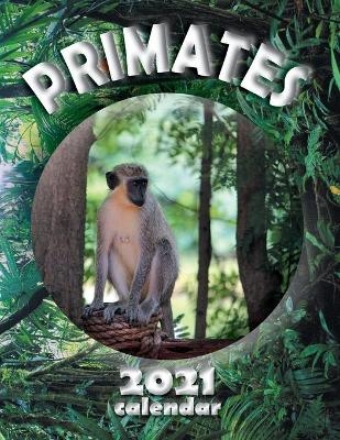 Primates 2021 Calendar -  Wall Publishing