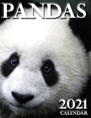 Pandas 2021 Calendar -  Wall Craft Calendars