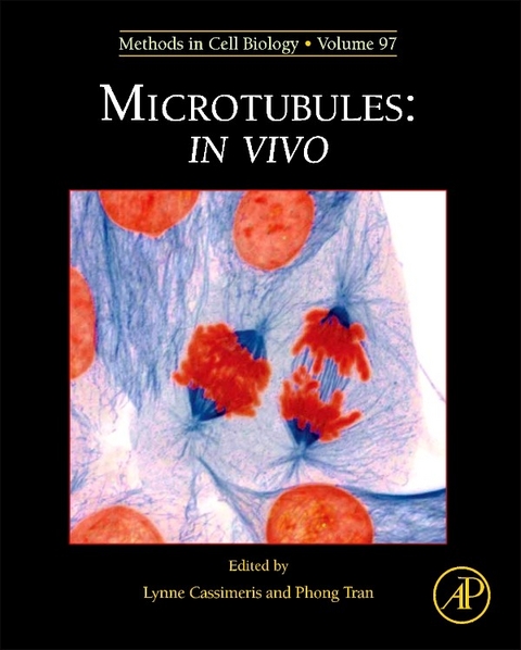 Microtubules: in vivo - 