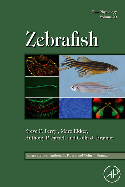 Fish Physiology: Zebrafish - 