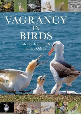 Vagrancy in Birds - Dr Alexander Lees, Dr James Gilroy
