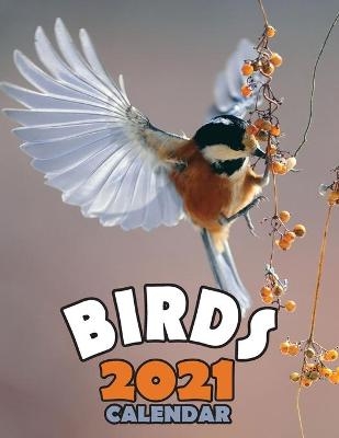 Birds 2021 Calendar -  Wall Publishing