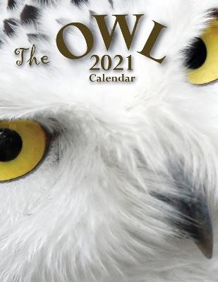 The Owl 2021 Calendar -  Wall Publishing