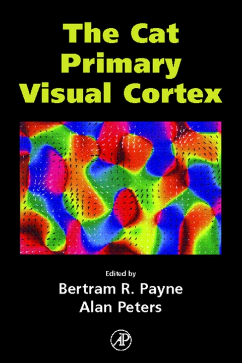 Cat Primary Visual Cortex - 