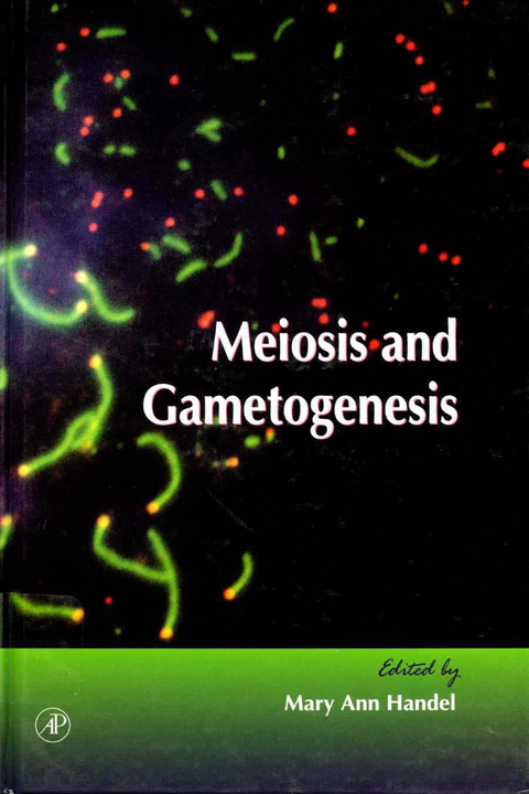 Meiosis and Gametogenesis - 