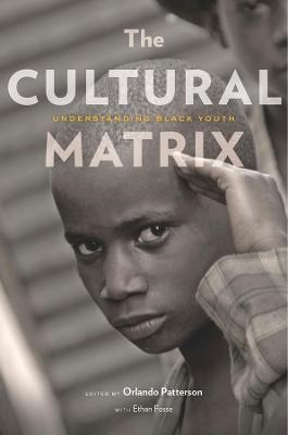 The Cultural Matrix - 