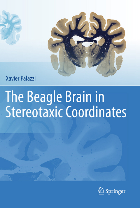 Beagle Brain in Stereotaxic Coordinates -  Xavier Palazzi