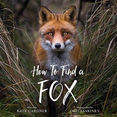 How to Find a Fox - Kate Gardner
