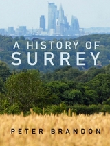 A History of Surrey - Brandon, Peter