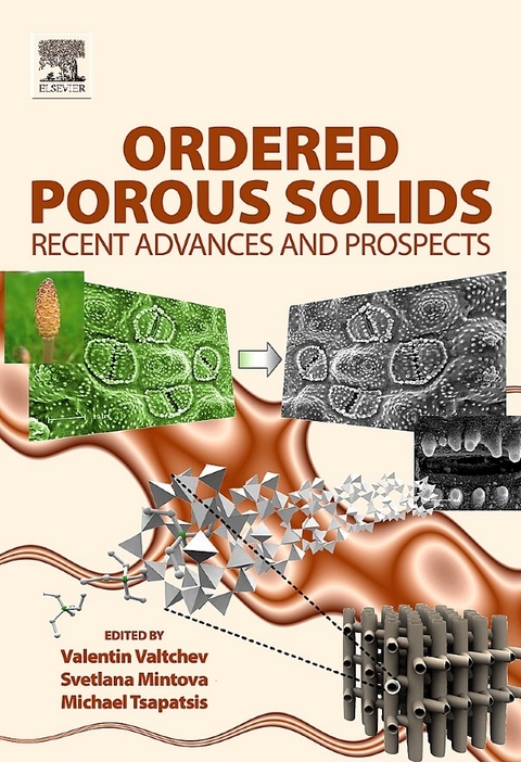 Ordered Porous Solids - 