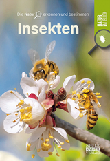 Insekten