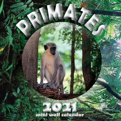 Primates 2021 Mini Wall Calendar -  Wall Publishing