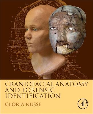 Craniofacial Anatomy and Forensic Identification - Gloria Nusse