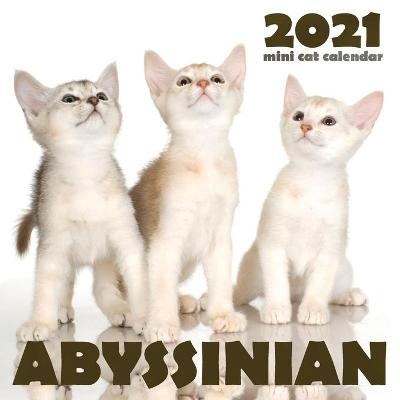 Abyssinian 2021 Mini Cat Calendar -  Climbing Wall Cats