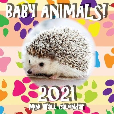 Baby Animals! 2021 Mini Wall Calendar -  Sea Wall