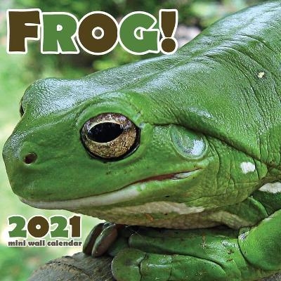 Frog! 2021 Mini Wall Calendar -  Wall Publishing