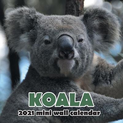 Koala 2021 Mini Wall Calendar -  Wall Publishing