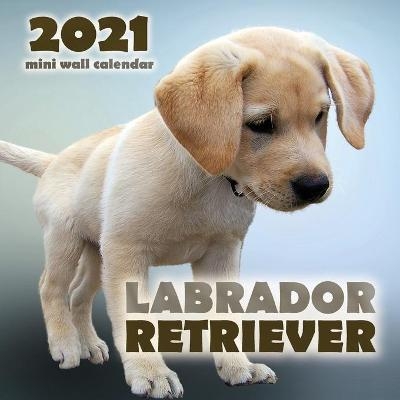 Labrador Retriever 2021 Mini Wall Calendar -  Over the Wall Dogs