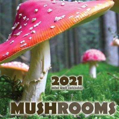 Mushrooms 2021 Mini Wall Calendar -  Wall Publishing