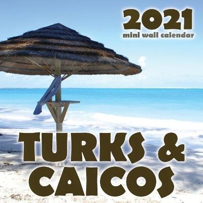 Turks & Caicos 2021 Mini Wall Calendar -  Just Be
