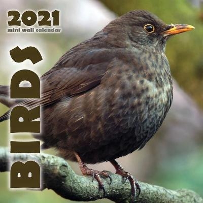 Birds 2021 Mini Wall Calendar -  Wall Publishing