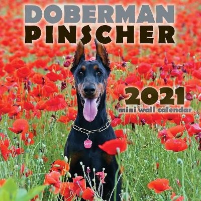 Doberman Pinscher 2021 Mini Wall Calendar -  Over the Wall Dogs