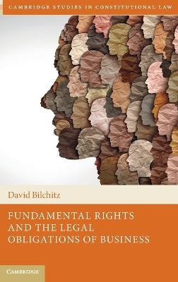 Fundamental Rights and the Legal Obligations of Business - David Bilchitz