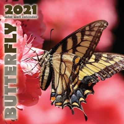 Butterfly 2021 Mini Wall Calendar -  Wall Publishing