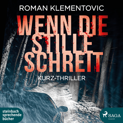 Wenn die Stille schreit - Roman Klementovic