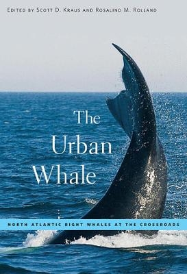 The Urban Whale - 