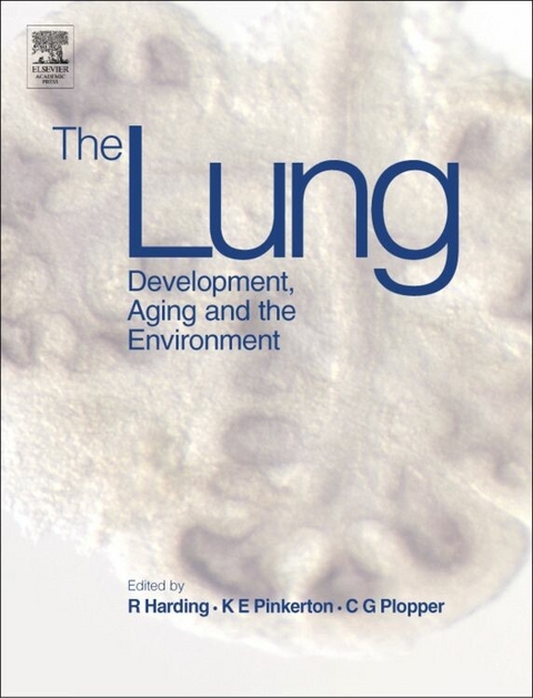 Lung - 