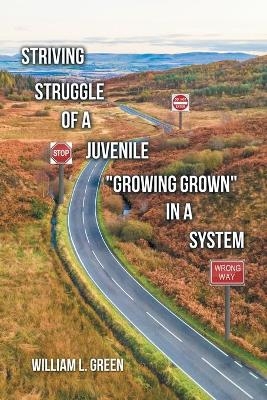 Striving Struggle of a Juvenile "Growing Grown" in a System - William L Green