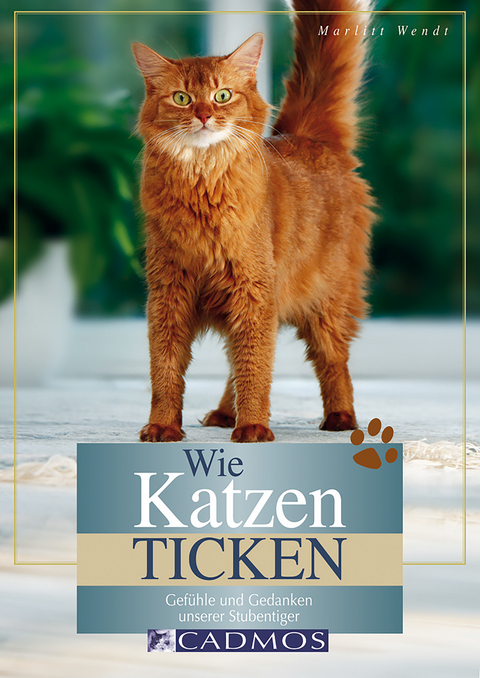 Wie Katzen ticken - Marlitt Wendt