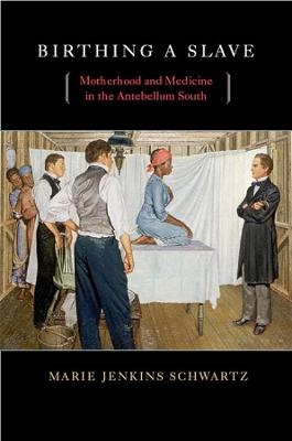 Birthing a Slave - Marie Jenkins Schwartz