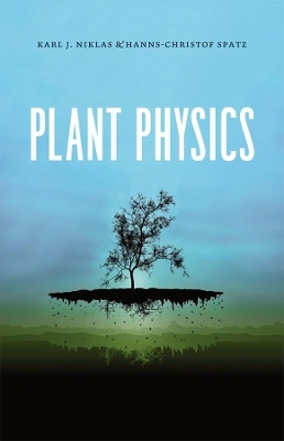 Plant Physics - Karl J. Niklas, Hanns–christof Spatz