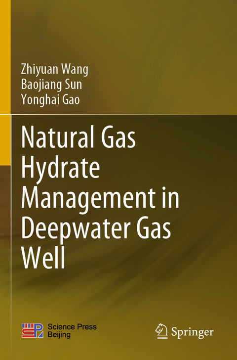 Natural Gas Hydrate Management in Deepwater Gas Well - Zhiyuan Wang, Baojiang Sun, Yonghai Gao